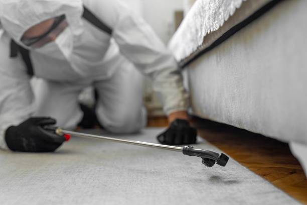 Professional Termite Control technician working in Richville, OH