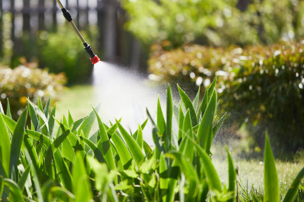 24/7 Emergency Termite Control experts in Richville, OH