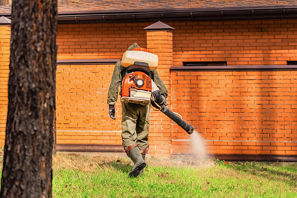 Top rated local Termite Control specialists in Richville, OH